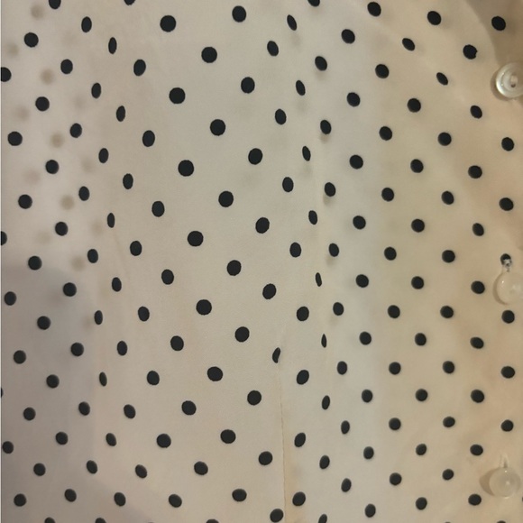 100% Silk Polka Dot Blouse - Picture 9 of 11